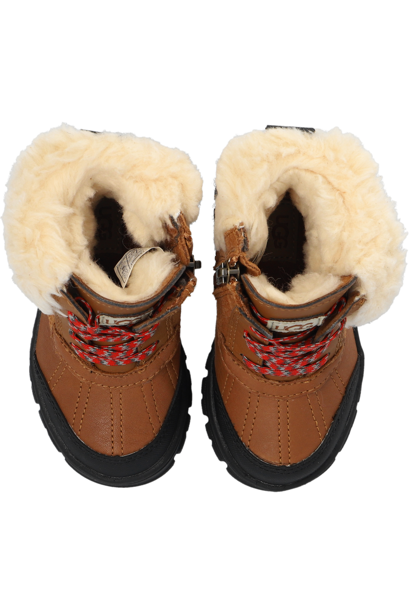 Polo on sale ugg bot